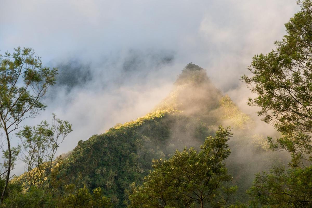 Olatika - Gite Des Cascades Cilaos Zewnętrze zdjęcie